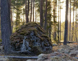 Pelastakaa Suomen luonto ja maaseutu!