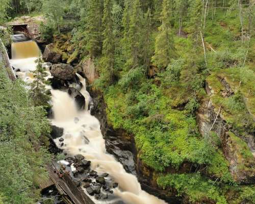 Rovaniemi kesällä lasten kanssa