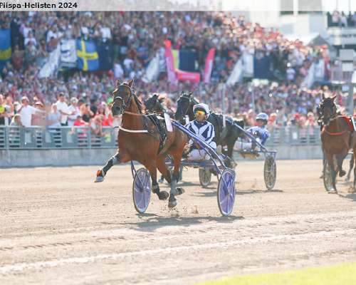 Horsy dream åby world grand prixin paras