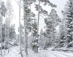 Kyllä oli todella yksinäinen olo