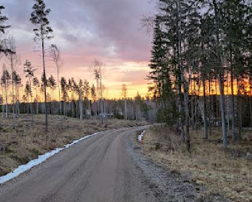 Blogini nimi, mistä se kertoo?