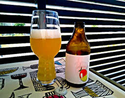 Brewski Mangofeber Session IPA