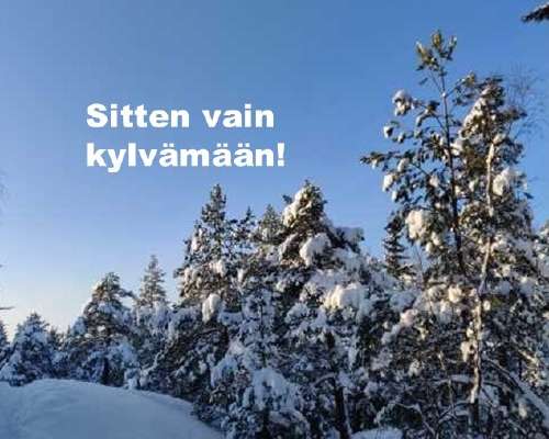 Syyskylvö vai talvikylvö?