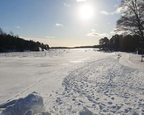 Kevättukka