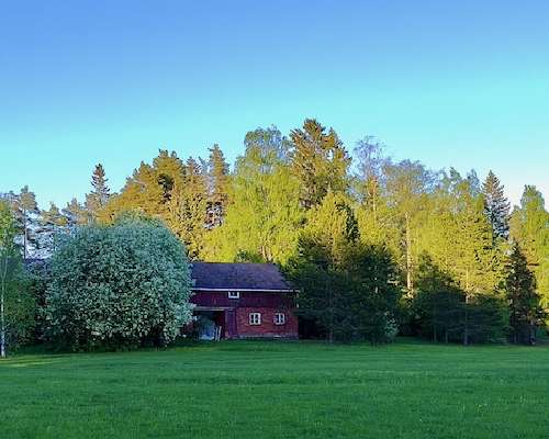 Mikä ihana kesä!