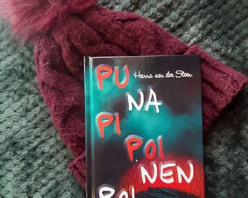 Hanna van der Steen: Punapipoinen poika