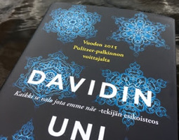 Anthony Doerr: Davidin uni