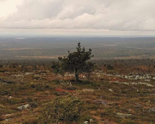 Luontopäiväkirja: Sateenkaari