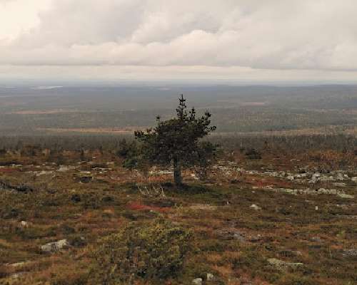 Luontopäiväkirja: Syksyn tuulia