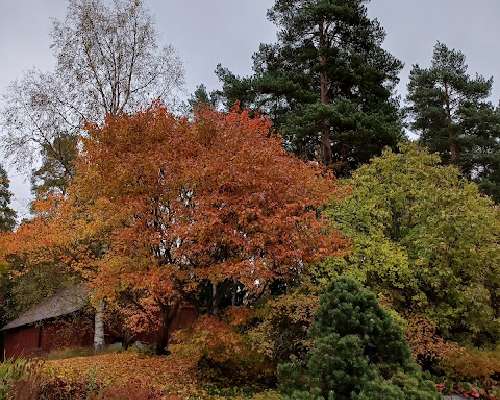 Luonnon ja elämän ruskan aikaa