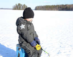 Talvinen päivä mökillä