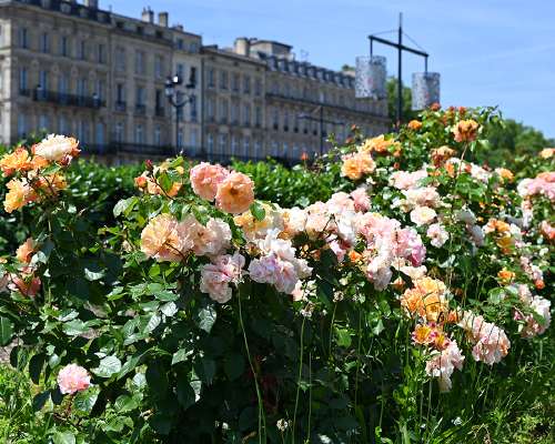 20 kohdevinkkiä viehättävään Bordeaux’hon