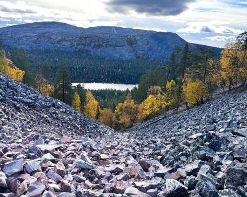 Kinuskikaurainen omenapaistos