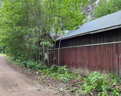 Major progress with the barn and outhouse