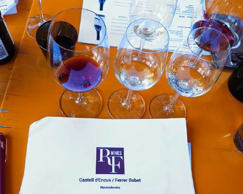 RF Wines // Wine Tasting with Raül Bobet 5.6.2024