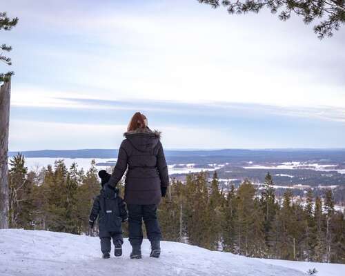 Vuosi 2020 olit ainutlaatuinen