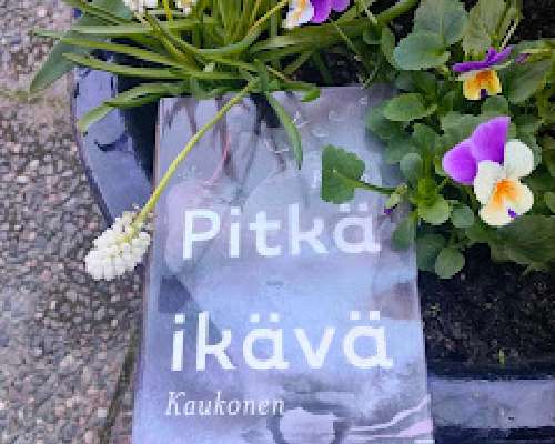 Katja Kaukonen: Pitkä ikävä