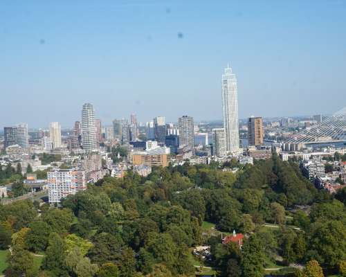 Rotterdam -jälleennäkeminen kuvina