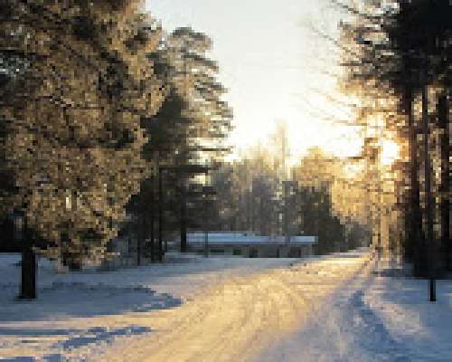 Kysymyksiä ja vastauksia