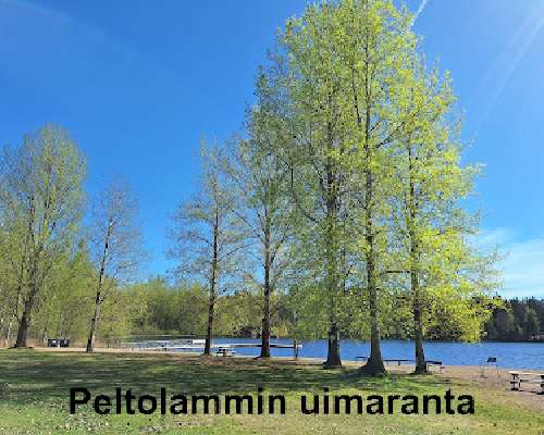 Tampereen Vuores vs Peltolammi - Peltolammi voitti