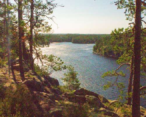 Haukkavuori, Mäntyharju