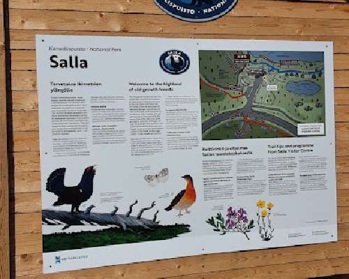 Sallan kansallispuisto: Kolmiloukkonen - El p...