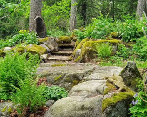 Mitä kuuluu Hörtsänän arboretumin kesäkuuhun?