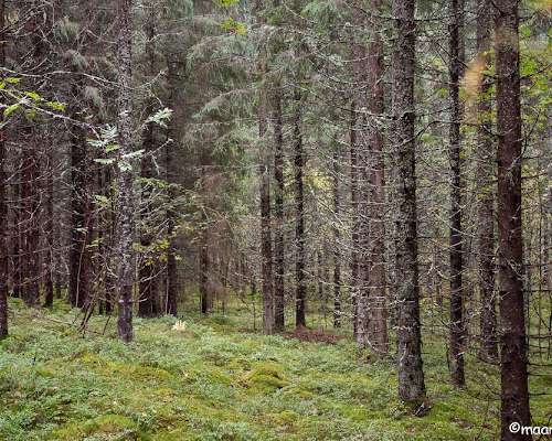 Syyskuun kolme haastekuvaa