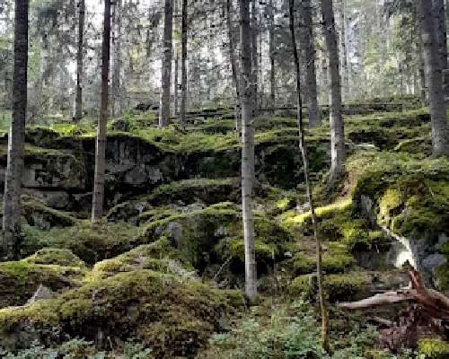 Pirunluola Jyväskylä