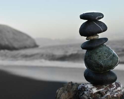 The Power of Meditation: Finding Peace in a B...