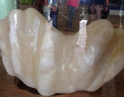 Puerto Princesasta löydetty 34 kilon helmi