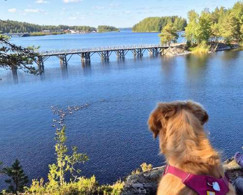 Keski-ikäisten kumman kaa -haaste