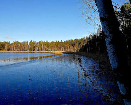 Viimestä päivää